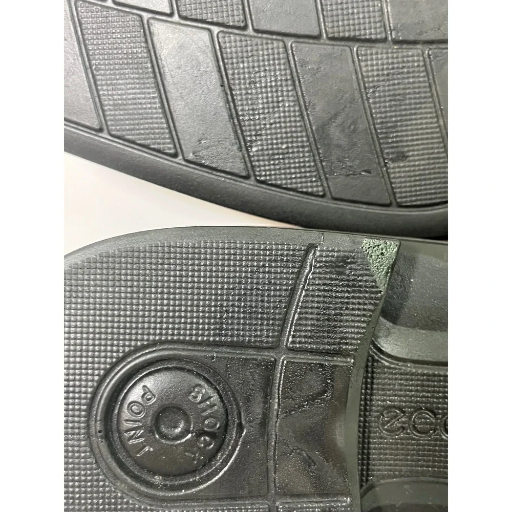 Ecco elevate your